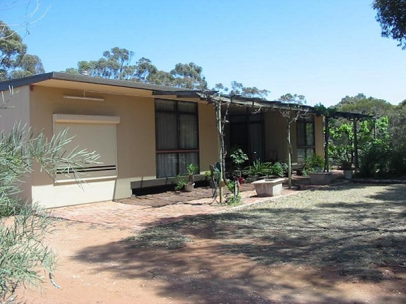 20 Appleton Terrace, Barmera SA 5345