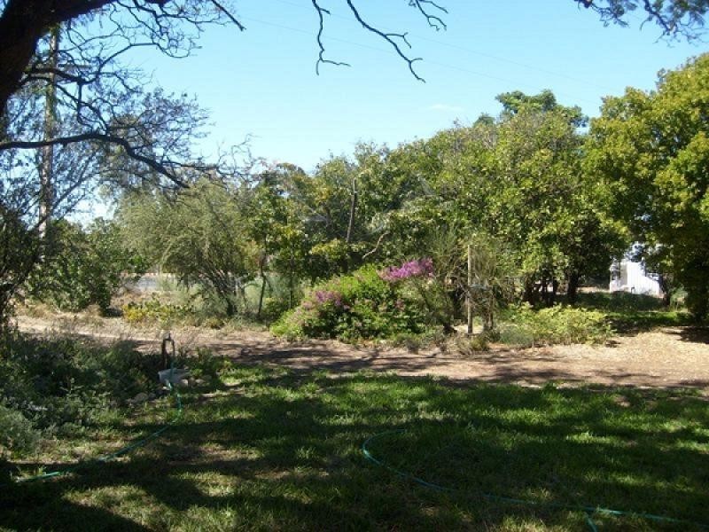 Allotment 101 Katarapko Crescent, Winkie SA 5343