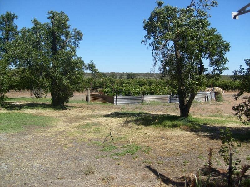 Allotment 101 Katarapko Crescent, Winkie SA 5343