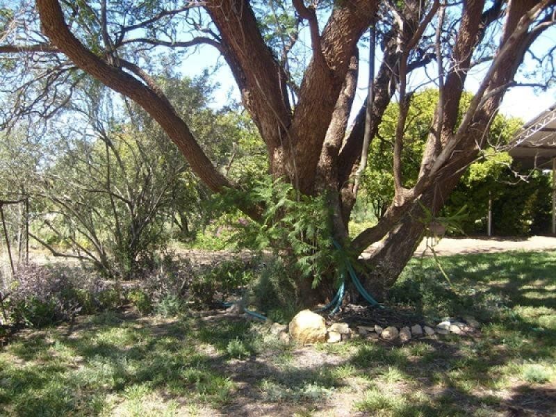 Allotment 101 Katarapko Crescent, Winkie SA 5343