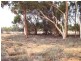 Lot 14 Bookpurnong Road, Loxton SA 5333