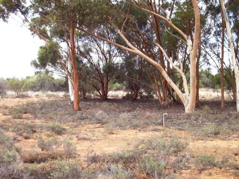 Lot 14 Bookpurnong Road, Loxton SA 5333