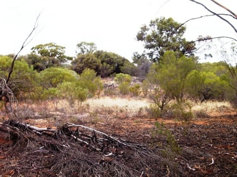 Lot 14 Bookpurnong Road, Loxton SA 5333