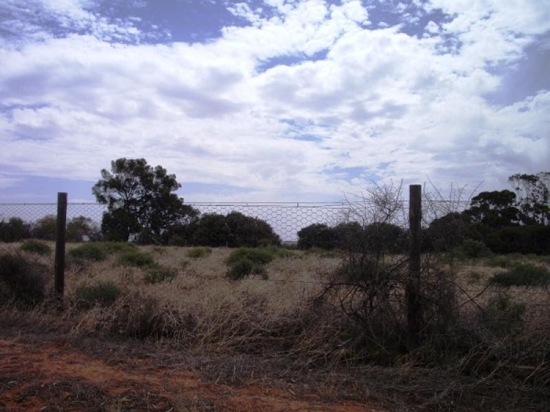 Lot 14 Bookpurnong Road, Loxton SA 5333