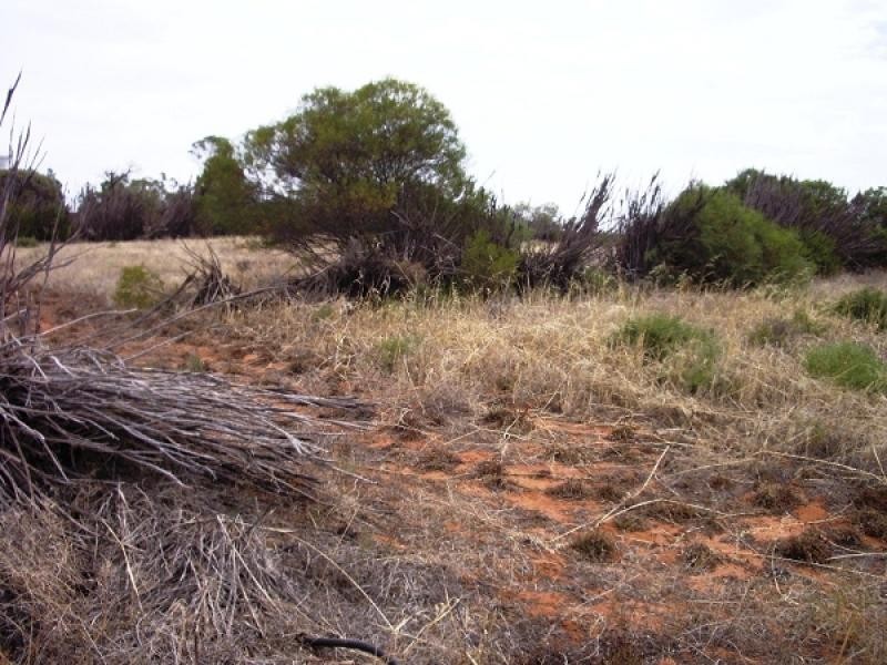 Lot 14 Bookpurnong Road, Loxton SA 5333