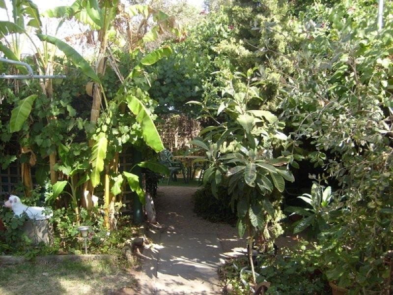 31 Malaga Terrace, Berri SA 5343