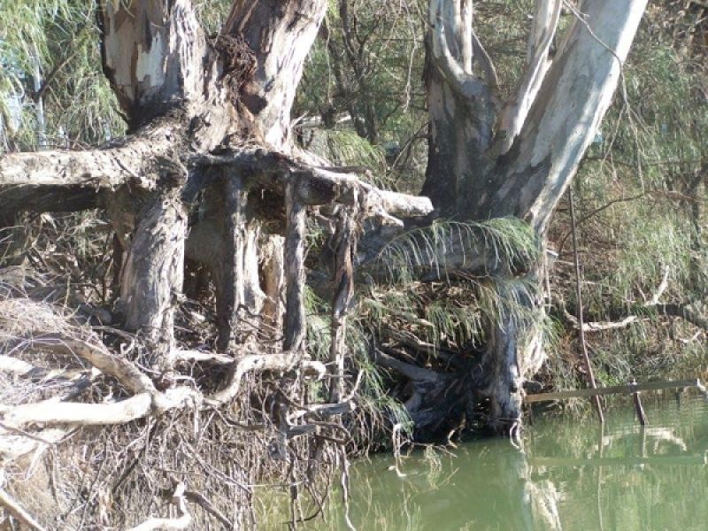 Lot 226 Via Morgan, Morphetts Flat SA 5320