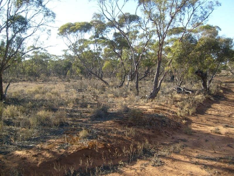 Lot 1 Sturt Highway, Kingston On Murray SA 5331