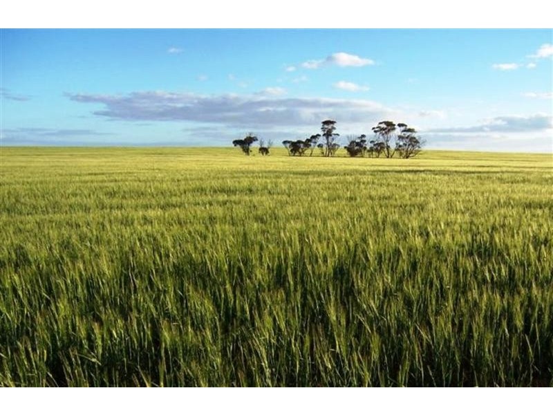 Section 18 Hd of Holder, Waikerie SA 5330