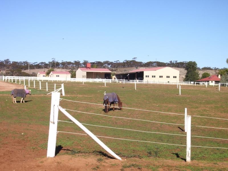 Kingston On Murray SA 5331