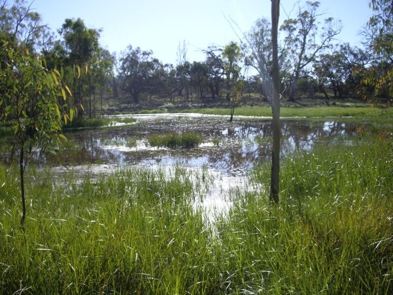 Kingston On Murray SA 5331