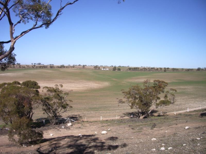 Kingston On Murray SA 5331