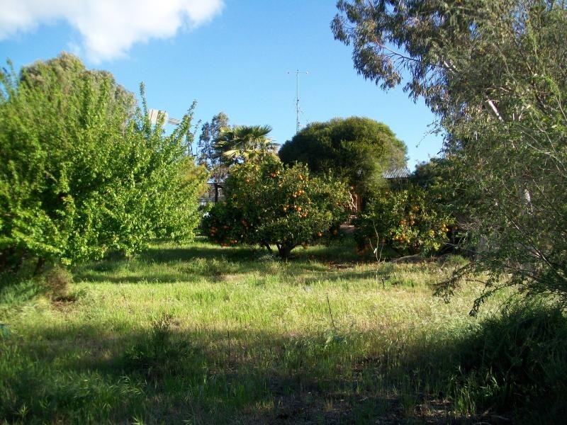 47 Holm Street, Murrayville VIC 3512
