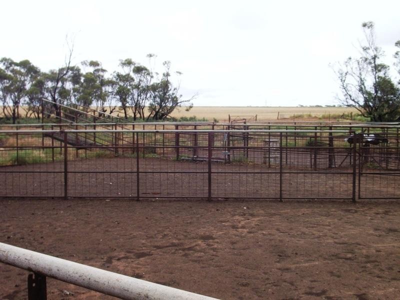 Galga SA 5308