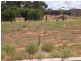 12 McEwen Drive, Loxton SA 5333
