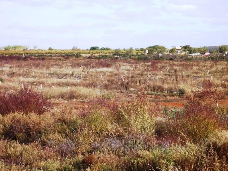 Section 129 Hundred of Moorook, Moorook SA 5332