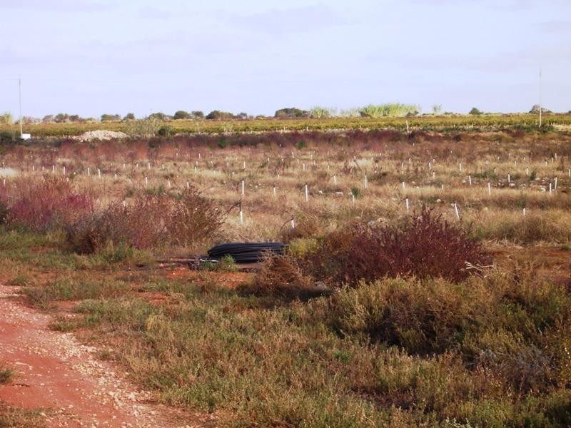 Section 129 Hundred of Moorook, Moorook SA 5332