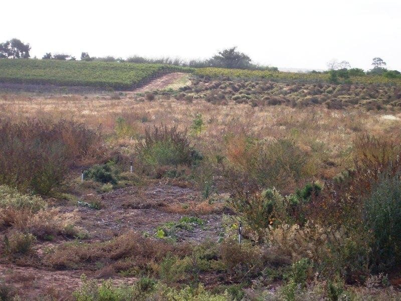 Section 129 Hundred of Moorook, Moorook SA 5332