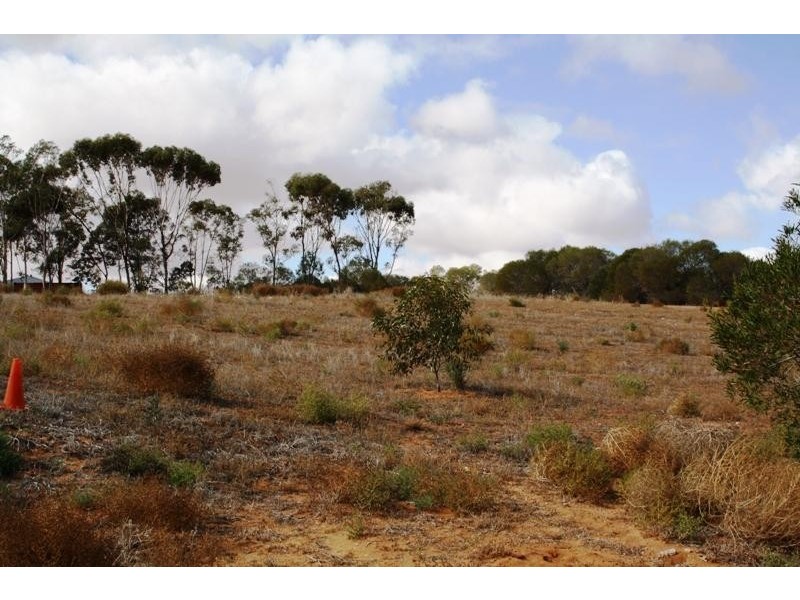 Allotment 8 Pioneer Landing Drive, Loxton SA 5333