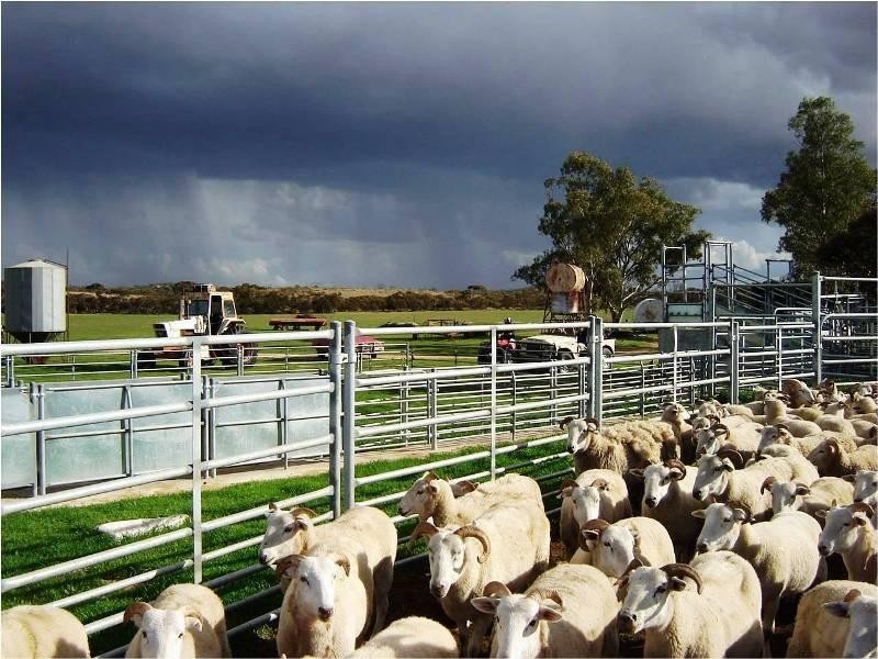 Section 33 , 39, 201, 203 and 27, 50 Hundred of Kingsford, Kringin SA 5304