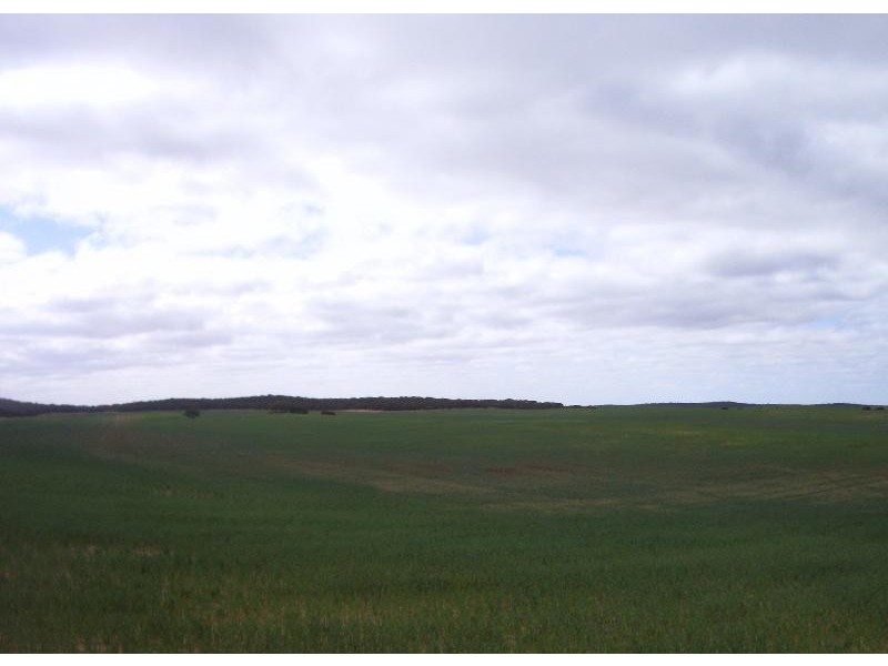 Section 33 , 39, 201, 203 and 27, 50 Hundred of Kingsford, Kringin SA 5304