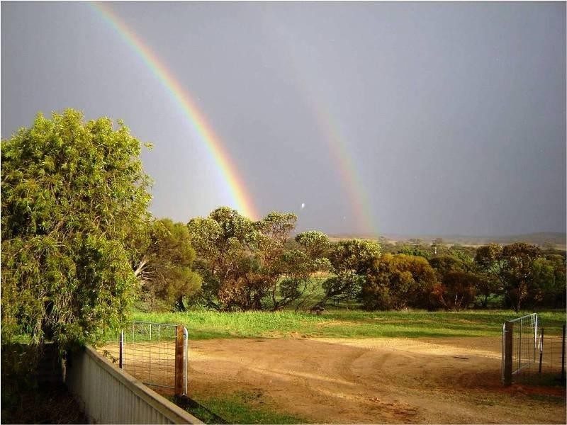 Section 33 , 39, 201, 203 and 27, 50 Hundred of Kingsford, Kringin SA 5304