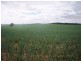Section 33 , 39, 201, 203 and 27, 50 Hundred of Kingsford, Kringin SA 5304