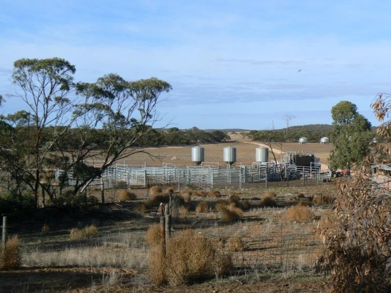 Section 33 , 39, 201, 203 and 27, 50 Hundred of Kingsford, Kringin SA 5304