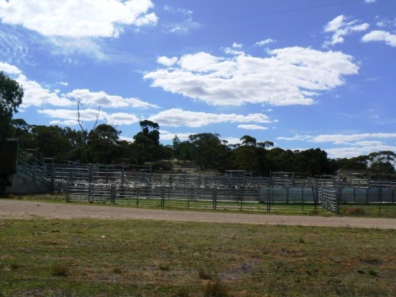 Section 33 , 39, 201, 203 and 27, 50 Hundred of Kingsford, Kringin SA 5304