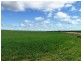 Section 84 & 268 Hundred of Gordon, Loxton North SA 5333
