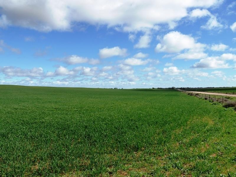 Section 84 & 268 Hundred of Gordon, Loxton North SA 5333