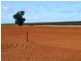 Section 84 & 268 Hundred of Gordon, Loxton North SA 5333