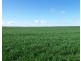 Section 84 & 268 Hundred of Gordon, Loxton North SA 5333