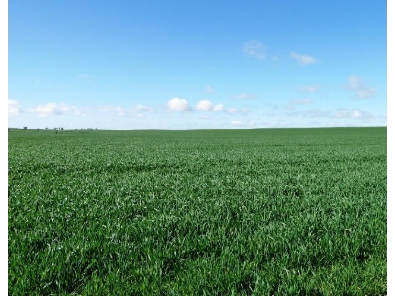 Section 84 & 268 Hundred of Gordon, Loxton North SA 5333