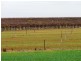 Section 84 & 268 Hundred of Gordon, Loxton North SA 5333