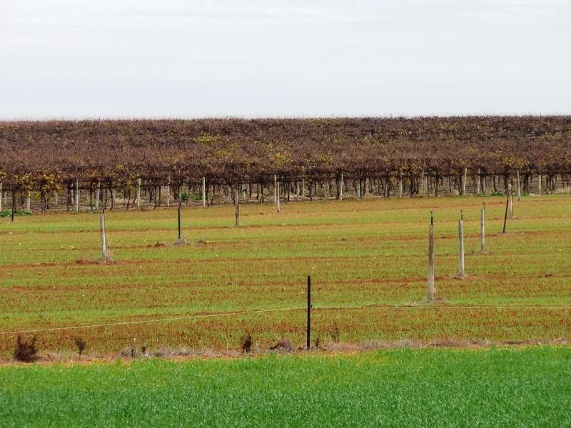 Section 84 & 268 Hundred of Gordon, Loxton North SA 5333