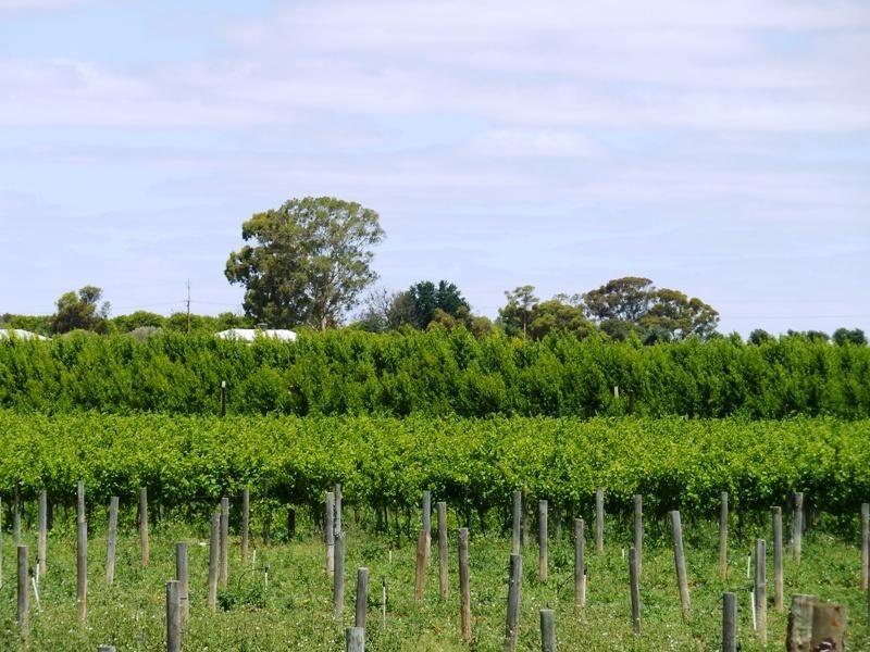 74 Kibby Road, Loxton SA 5333