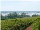 Lot 37 Hundred of Pyap, New Residence SA 5333