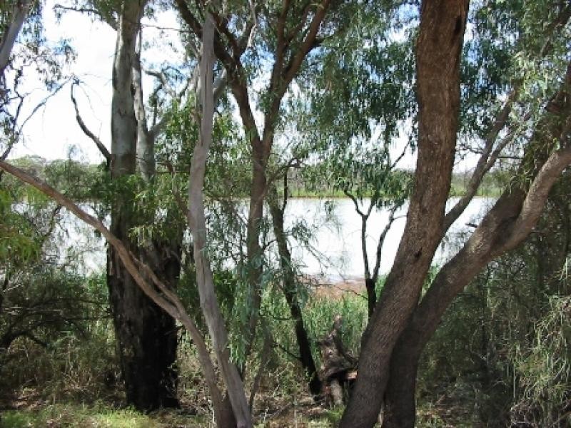Lot 4/ Twentysecond Street, Renmark SA 5341