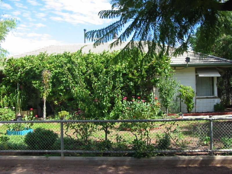 221 FOURTEENTH STREET, Renmark SA 5341