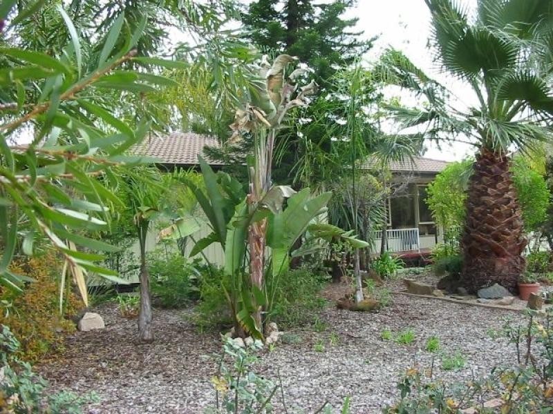 35 SIMS PARADE, Renmark SA 5341