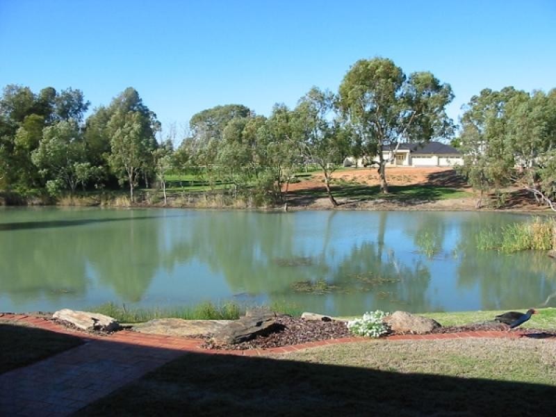 12 Palm Court, Renmark SA 5341