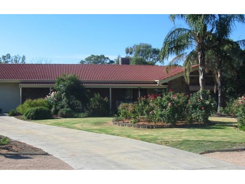 109 Pyap Street, Renmark SA 5341