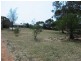 Lot 1 Dorothy Avenue, Paringa SA 5340