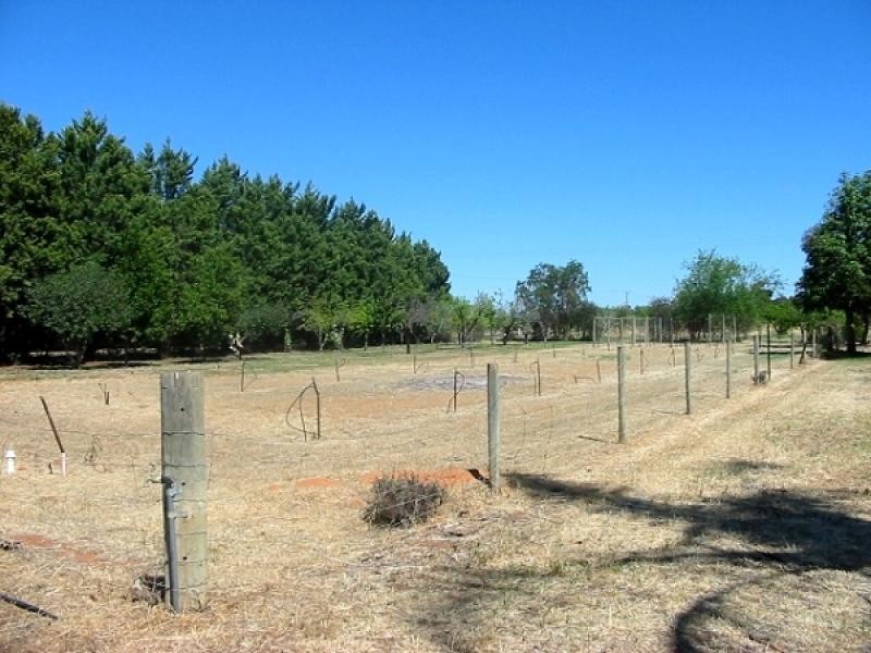 Lot 131 Bookmark Avenue, Renmark SA 5341