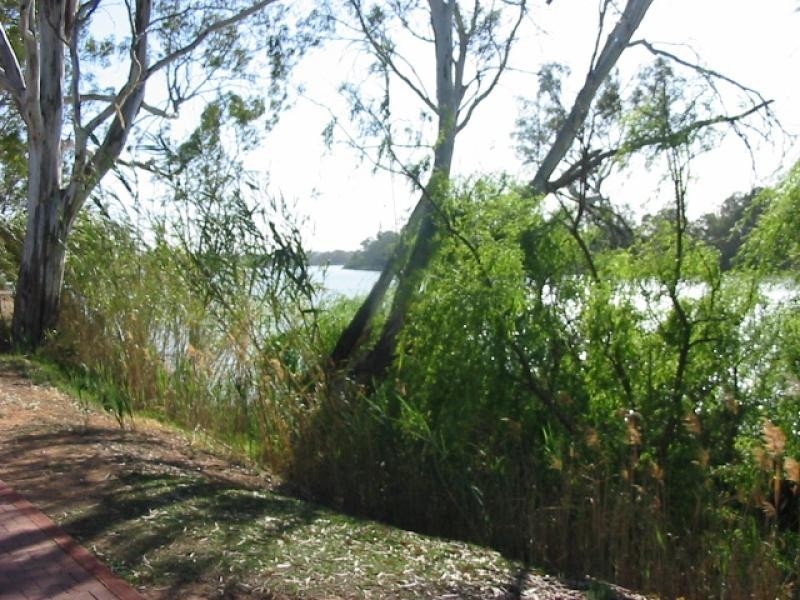 53 James Avenue, Renmark SA 5341