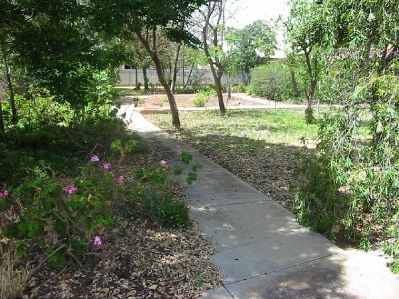 10 Seventeenth Street, Renmark SA 5341