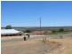 Lot 8/ Fuller Road, Berri SA 5343