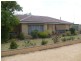 10 Grenache Avenue, Berri SA 5343