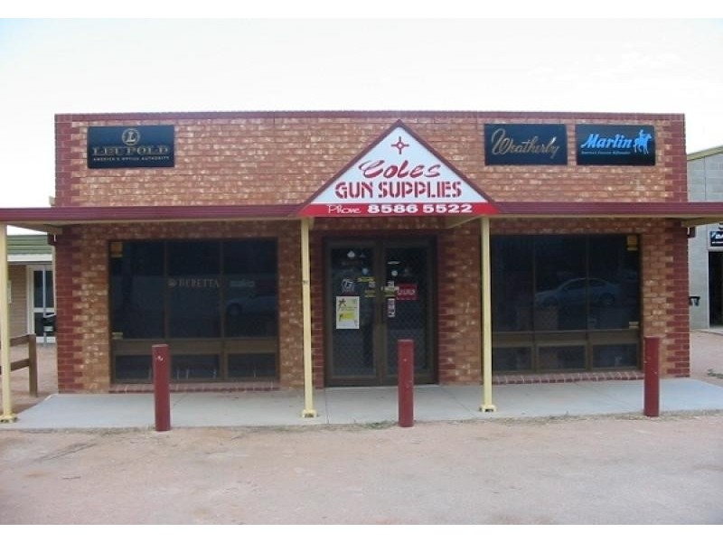 91 Fifteenth Street, Renmark SA 5341